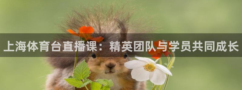 上海体育台直播课：精英团队与学员共同成长