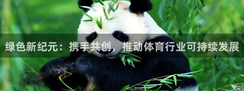 绿色新纪元：携手共创，推动体育行业可持续发展