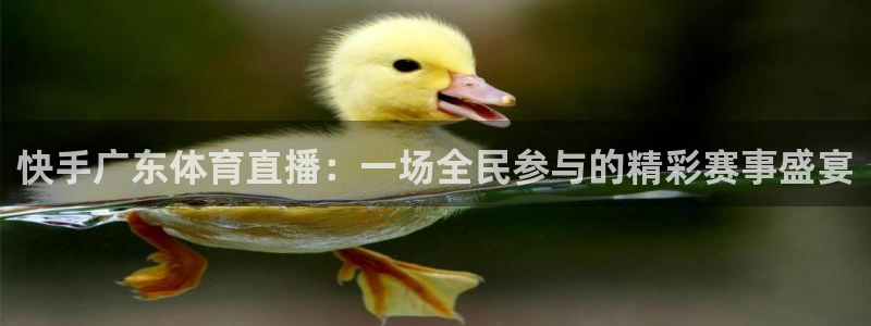 快手广东体育直播：一场全民参与的精彩赛事盛宴