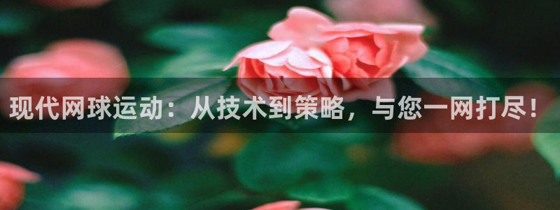 现代网球运动：从技术到策略，与您一网打尽！