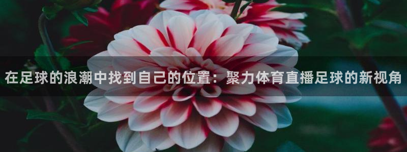 在足球的浪潮中找到自己的位置：聚力体育直播足球的新视角